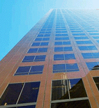 關于粵旋 關于粵旋